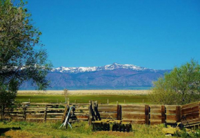 Sanctuary-Cottage at Artist's Remote Ranch Oasis